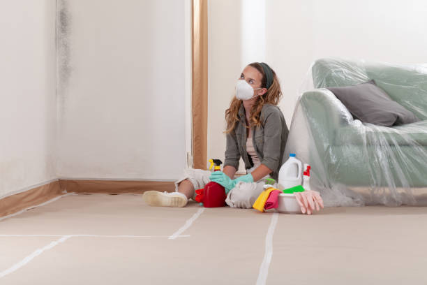 Reliable Mold Remediation contractor in Burtonsville, MD by WQB Mold Removal